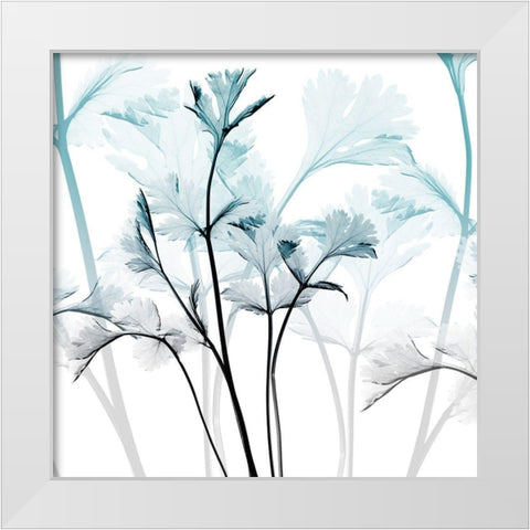 Amethyst Glow White Modern Wood Framed Art Print by Koetsier, Albert