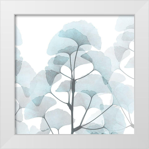 Glassy Ginko White Modern Wood Framed Art Print by Koetsier, Albert