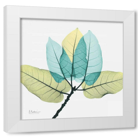 Ficus Burkey White Modern Wood Framed Art Print by Koetsier, Albert