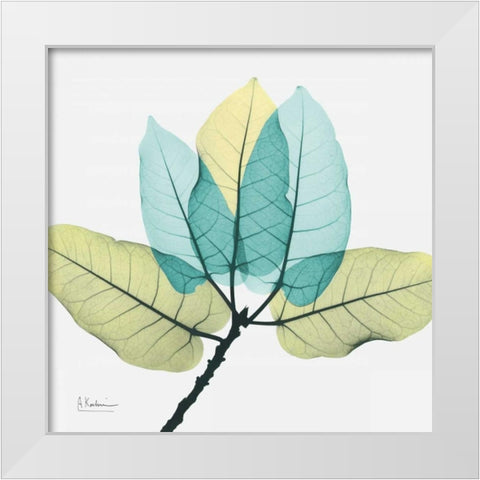 Ficus Burkey White Modern Wood Framed Art Print by Koetsier, Albert
