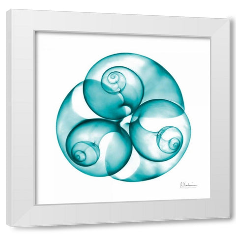 Moon snail Trio White Modern Wood Framed Art Print by Koetsier, Albert