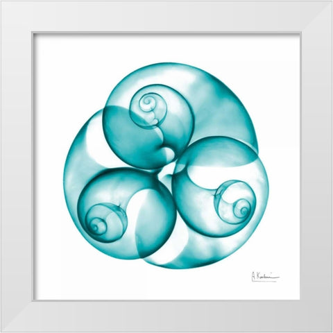 Moon snail Trio White Modern Wood Framed Art Print by Koetsier, Albert