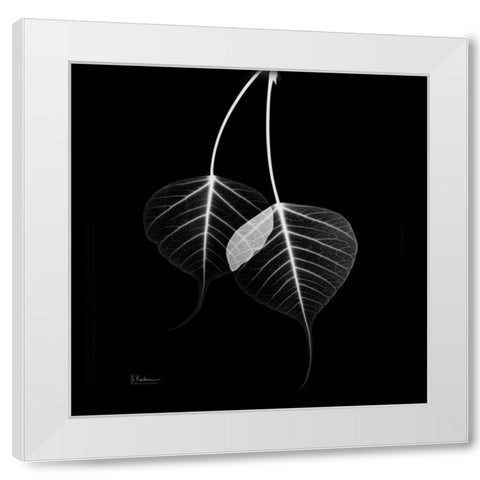 Bodhi Tree STAR White Modern Wood Framed Art Print by Koetsier, Albert
