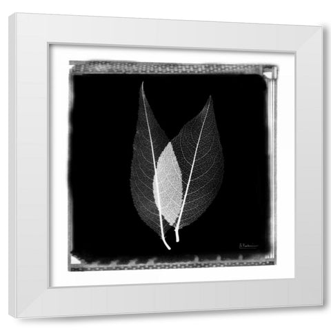 Caplulin Cherry STAR White Modern Wood Framed Art Print by Koetsier, Albert