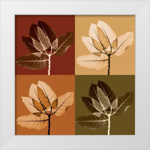 Harvest Leaves 1 White Modern Wood Framed Art Print by Koetsier, Albert