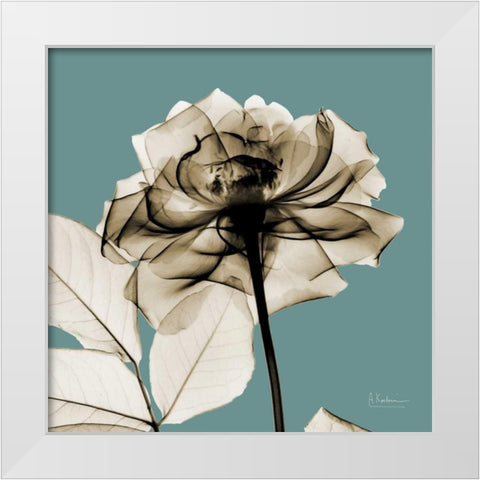 Mineral Rose White Modern Wood Framed Art Print by Koetsier, Albert