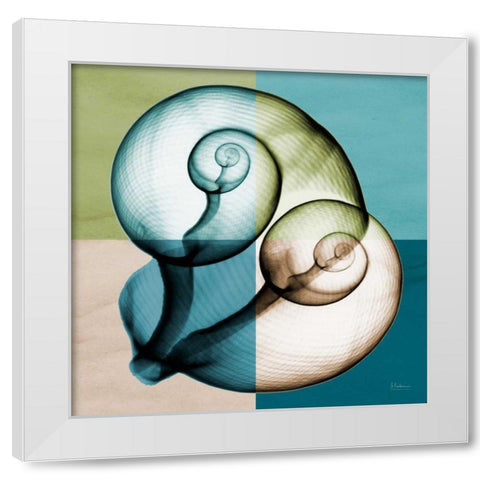 Blue Green Shell 1 White Modern Wood Framed Art Print by Koetsier, Albert