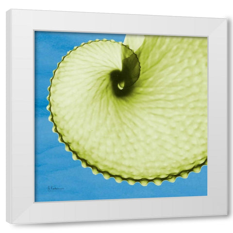 Argonaut White Modern Wood Framed Art Print by Koetsier, Albert