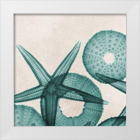 Under The Sea 5 White Modern Wood Framed Art Print by Koetsier, Albert