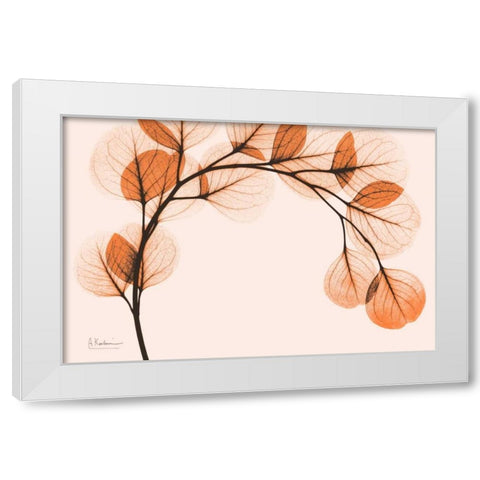 Orange Eucalyptus White Modern Wood Framed Art Print by Koetsier, Albert