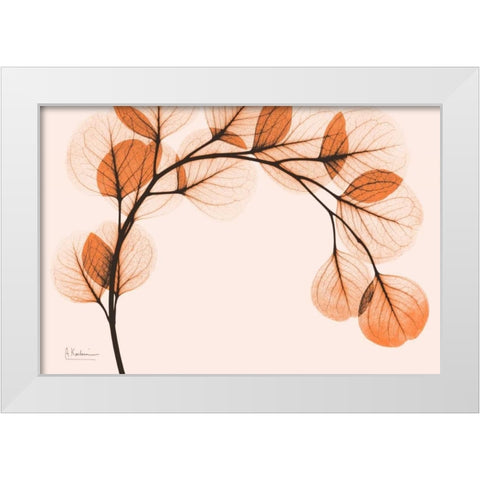 Orange Eucalyptus White Modern Wood Framed Art Print by Koetsier, Albert