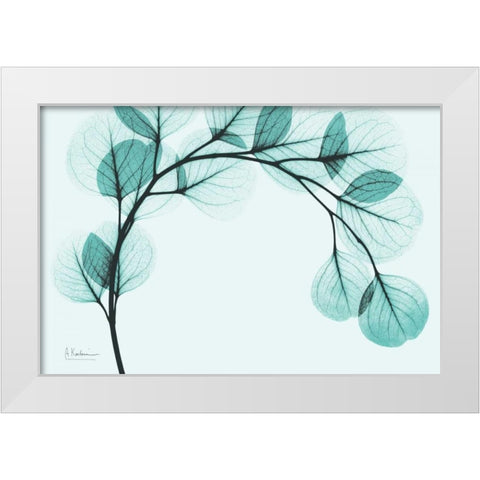 Teal Eucalyptus White Modern Wood Framed Art Print by Koetsier, Albert
