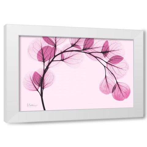 Pink Eucalyptus White Modern Wood Framed Art Print by Koetsier, Albert