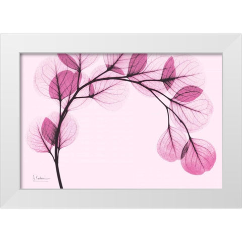 Pink Eucalyptus White Modern Wood Framed Art Print by Koetsier, Albert