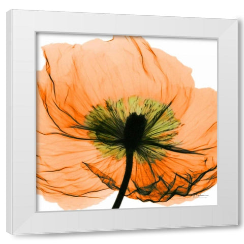 Poppy Orange White Modern Wood Framed Art Print by Koetsier, Albert