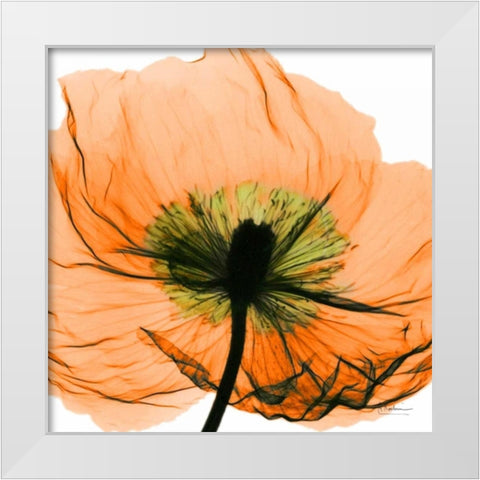 Poppy Orange White Modern Wood Framed Art Print by Koetsier, Albert