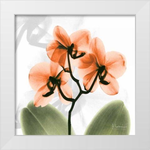BW Orchid Orange White Modern Wood Framed Art Print by Koetsier, Albert