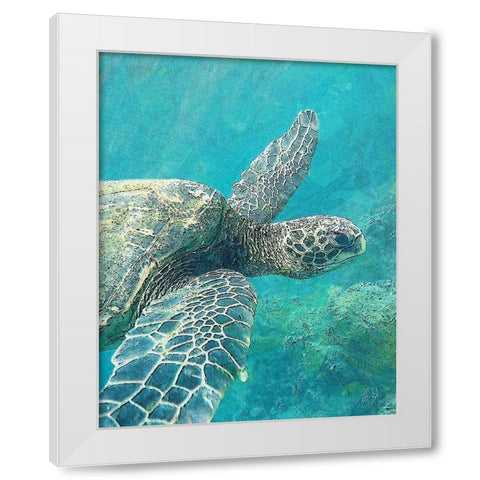 Sea Turtle 1 White Modern Wood Framed Art Print by Bailey, Ann