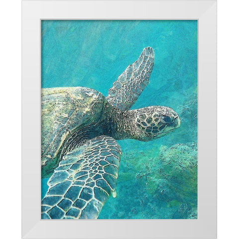 Sea Turtle 1 White Modern Wood Framed Art Print by Bailey, Ann