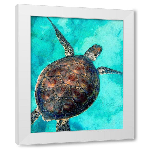 Sea Turtle 2 White Modern Wood Framed Art Print by Bailey, Ann