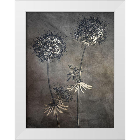 Puff 2 White Modern Wood Framed Art Print by Bailey, Ann