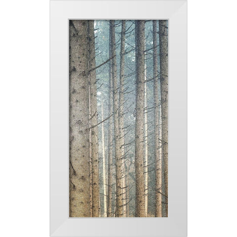 Forest Dreaming 2 White Modern Wood Framed Art Print by Bailey, Ann
