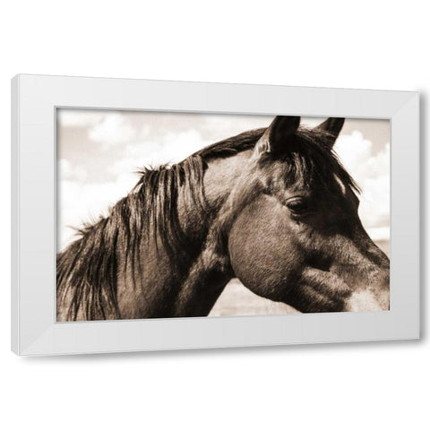 Solitary Horse White Modern Wood Framed Art Print by Alvarez, Cynthia