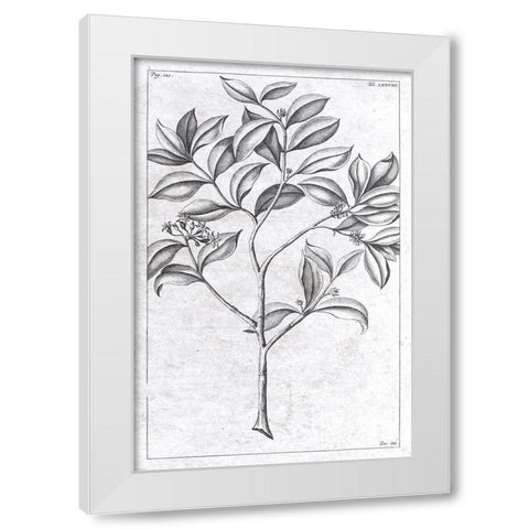 Palm 1 White Modern Wood Framed Art Print by Brown, Denise