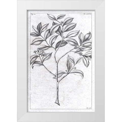 Palm 1 White Modern Wood Framed Art Print by Brown, Denise