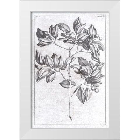 Palm 2 White Modern Wood Framed Art Print by Brown, Denise