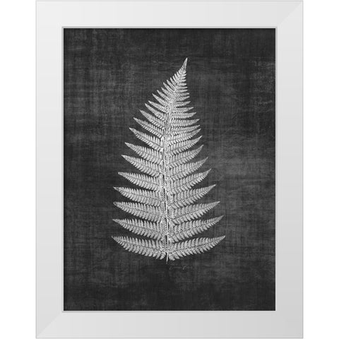 Astor Fern 1 White Modern Wood Framed Art Print by Brown, Denise