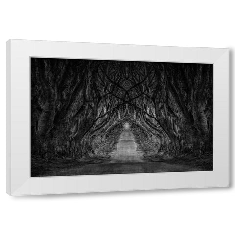Black And White Trees White Modern Wood Framed Art Print by Brown, Denise