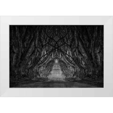 Black And White Trees White Modern Wood Framed Art Print by Brown, Denise