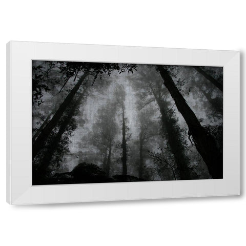 Trees and Clouds 2 White Modern Wood Framed Art Print by Brown, Denise
