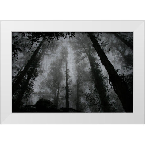 Trees and Clouds 2 White Modern Wood Framed Art Print by Brown, Denise