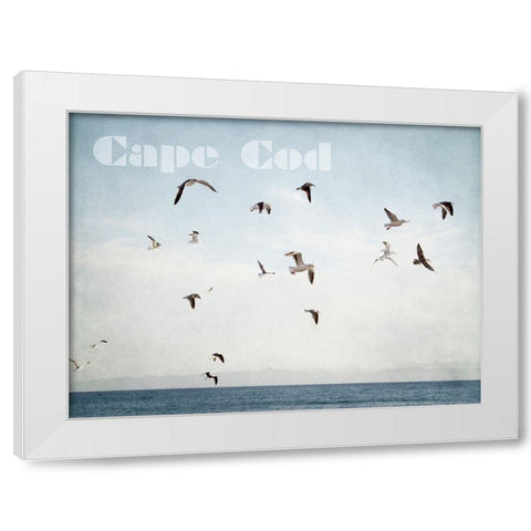 Cape Flight White Modern Wood Framed Art Print by Urquhart, Elizabeth