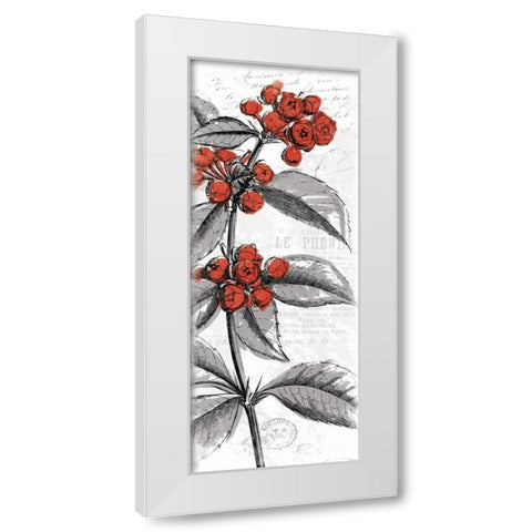 Red Flower White Modern Wood Framed Art Print by Grey, Jace