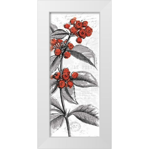 Red Flower White Modern Wood Framed Art Print by Grey, Jace