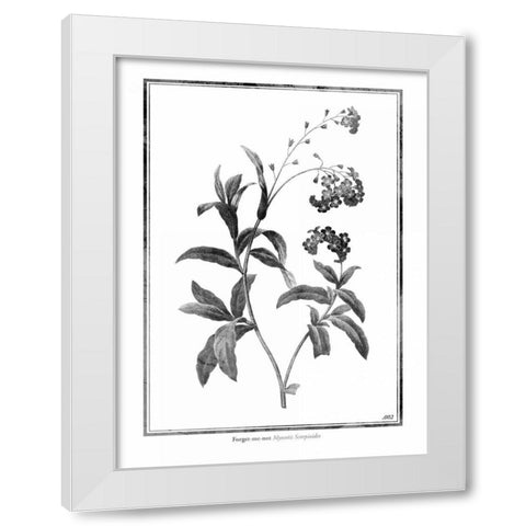 Forget me not White Modern Wood Framed Art Print by Grey, Jace