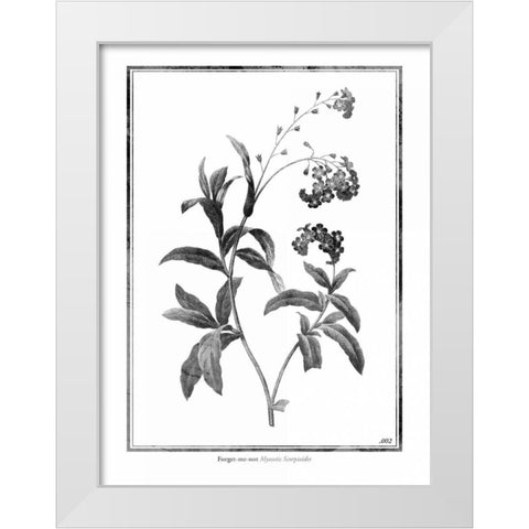 Forget me not White Modern Wood Framed Art Print by Grey, Jace