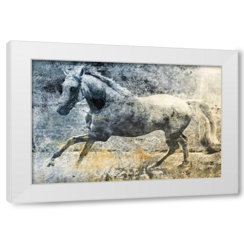 Washed Out Horse White Modern Wood Framed Art Print by Grey, Jace