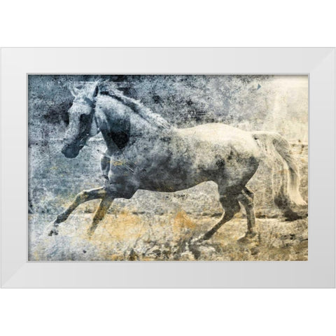 Washed Out Horse White Modern Wood Framed Art Print by Grey, Jace