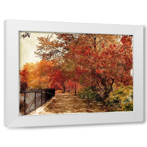 NY Fall White Modern Wood Framed Art Print by Grey, Jace