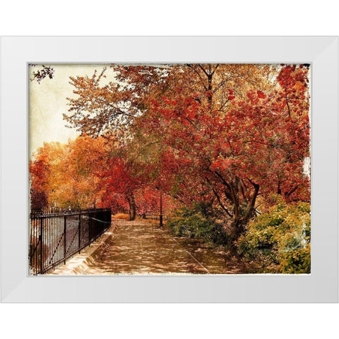 NY Fall White Modern Wood Framed Art Print by Grey, Jace