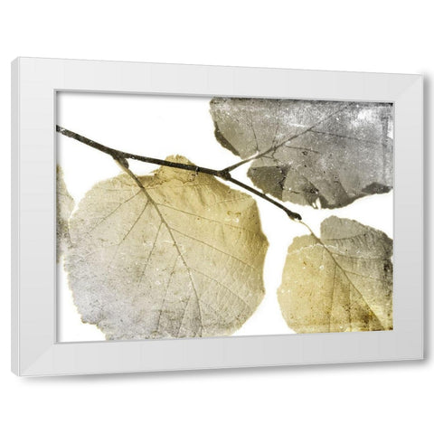Classic Leaves White White Modern Wood Framed Art Print by Grey, Jace