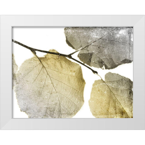 Classic Leaves White White Modern Wood Framed Art Print by Grey, Jace