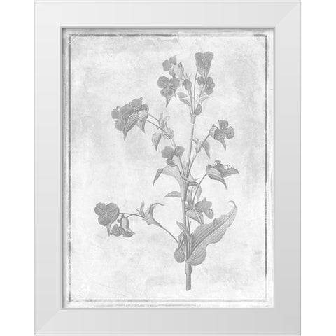 Monochrome Floral Cleaner 1 White Modern Wood Framed Art Print by Grey, Jace