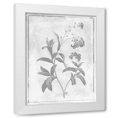 Monochrome Floral Cleaner 2 White Modern Wood Framed Art Print by Grey, Jace