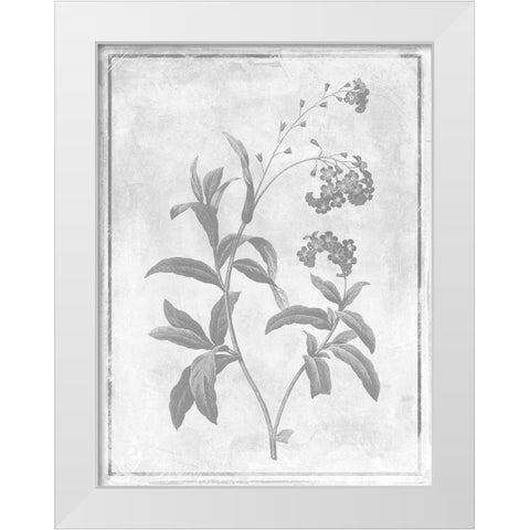 Monochrome Floral Cleaner 2 White Modern Wood Framed Art Print by Grey, Jace