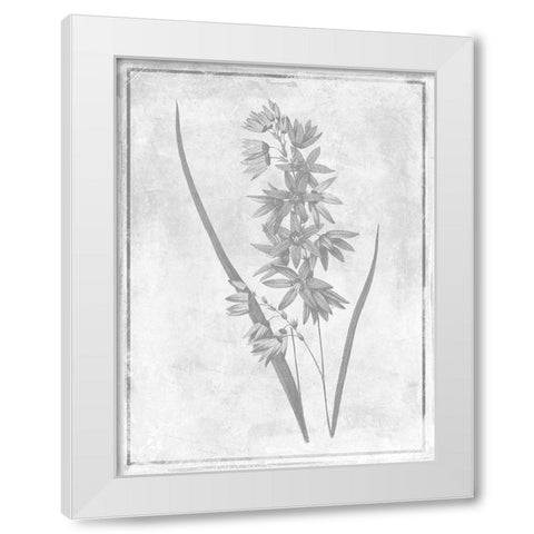 Monochrome Floral Cleaner 3 White Modern Wood Framed Art Print by Grey, Jace
